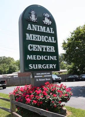 animal hospital cartersville ga|bartow county animal hospital cartersville.